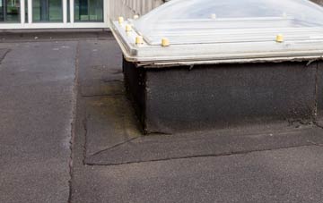 disadvantages of Dail Bho Thuath flat roofs